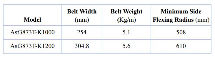 Ast3873TG Spiral Belt